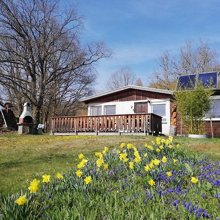 Ferienhaus Chiara, Suedharz, Harztor Ilfeld المظهر الخارجي الصورة
