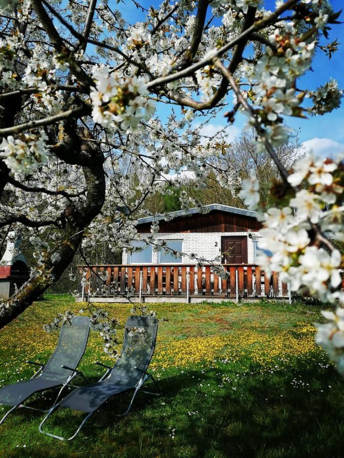 Ferienhaus Chiara, Suedharz, Harztor Ilfeld المظهر الخارجي الصورة