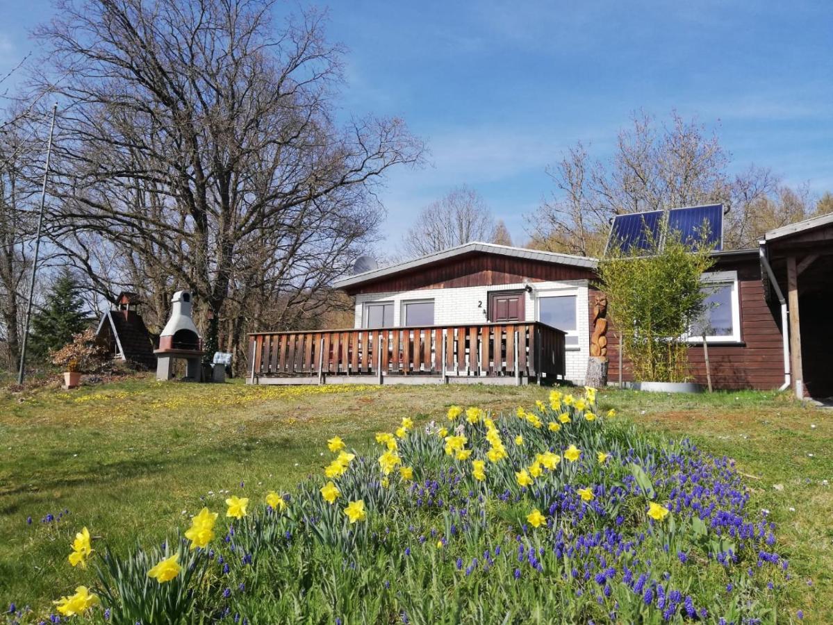 Ferienhaus Chiara, Suedharz, Harztor Ilfeld المظهر الخارجي الصورة